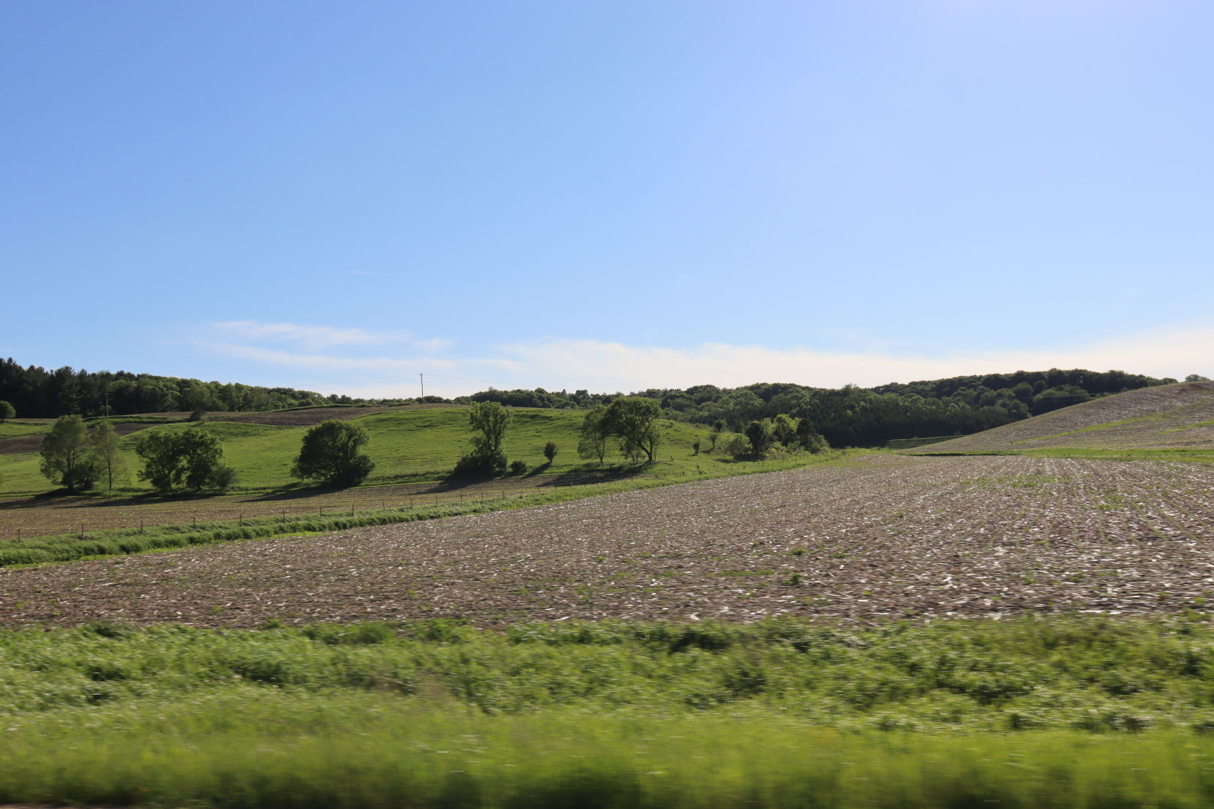 Fields